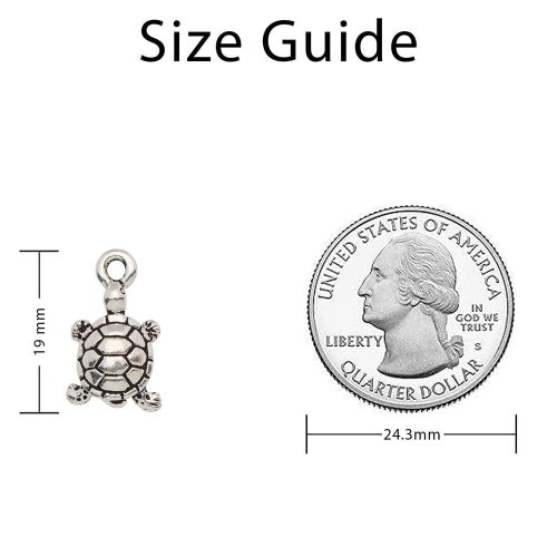 Small Turtle Measurement Image