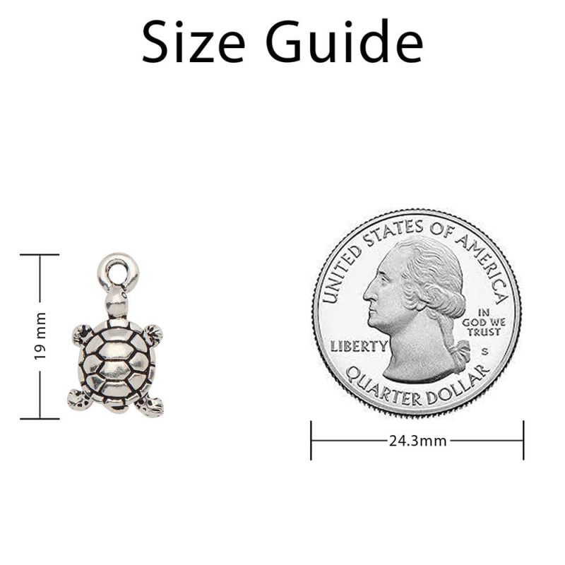 Small Turtle Measurement Image